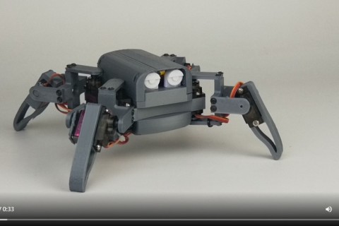 R1 蜘蛛机器人标准展示