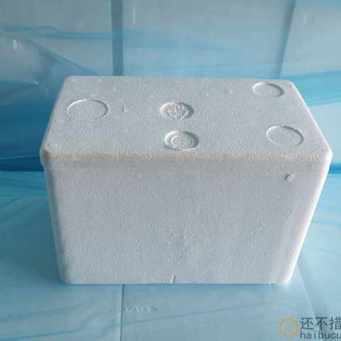 标准6号泡沫箱保温箱蔬菜水果水族冻品牛肉箱海鲜箱2-3斤箱SN1293